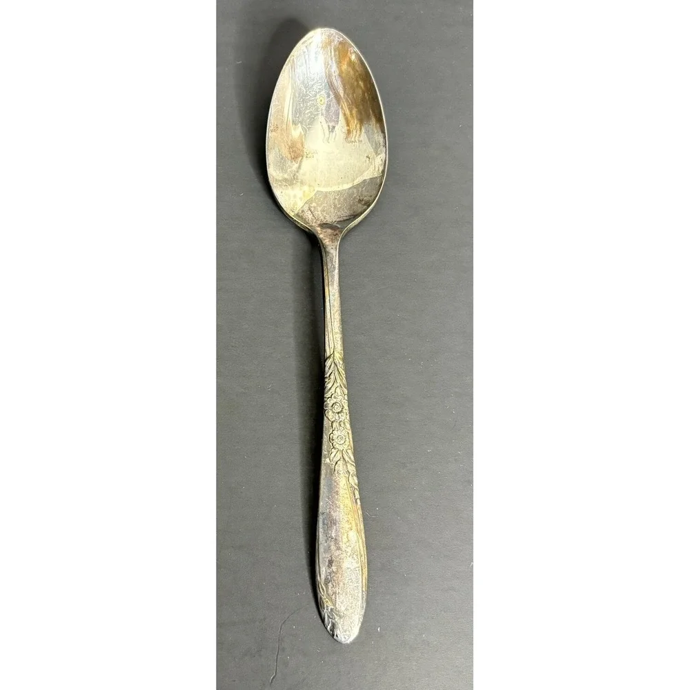 6 Oneida Wm Rogers Country Lane Teaspoons Spoons Floral Silver Plate Flatware